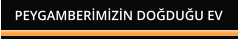 PEYGAMBERMZN DODUU EV